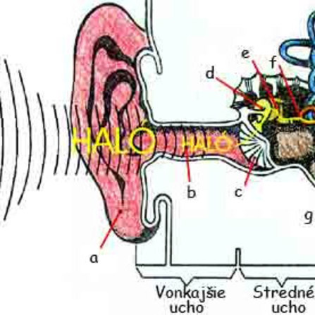 Spoznávame poruchu sluchu